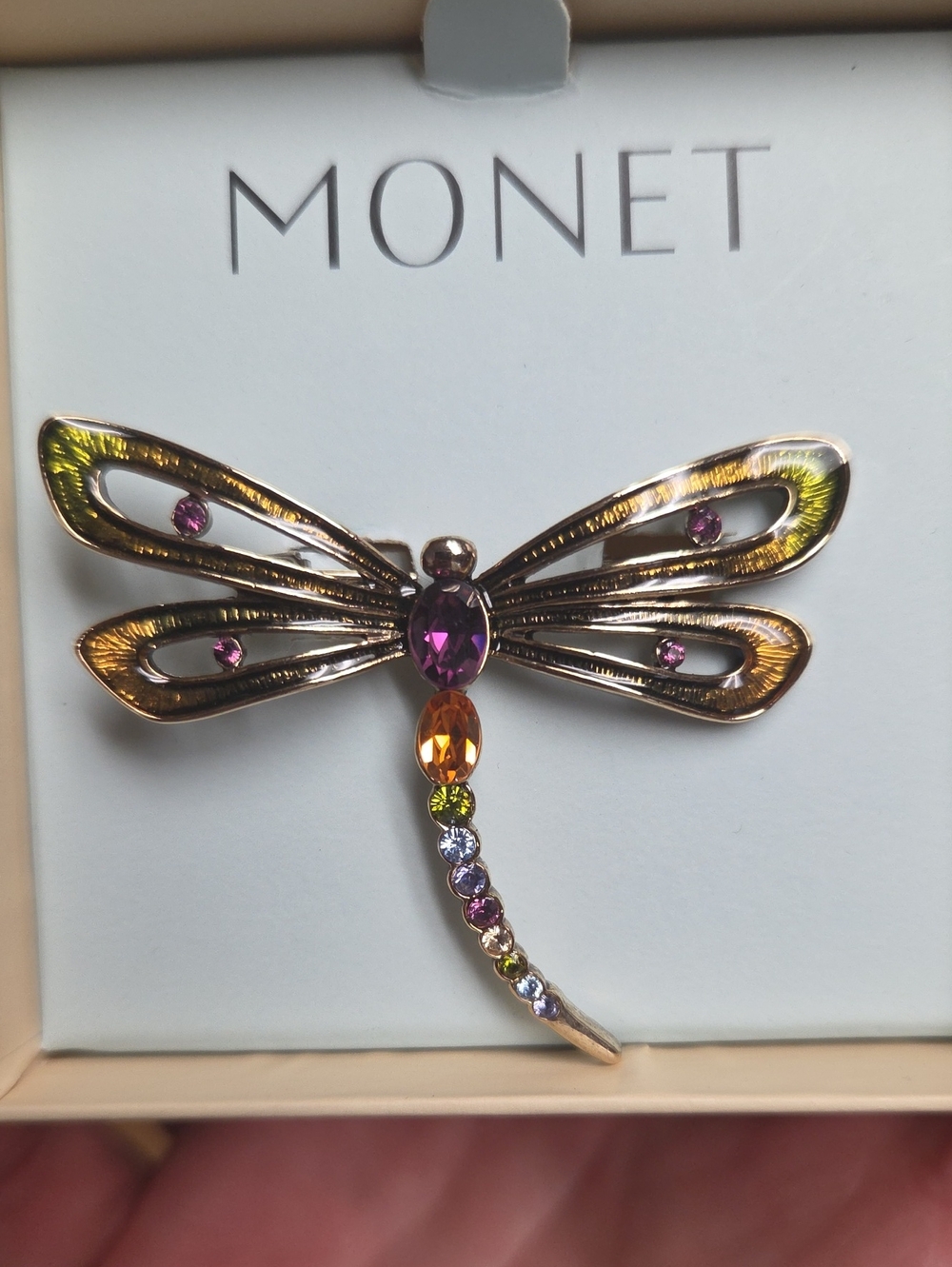 Monet Dragonfly Pin